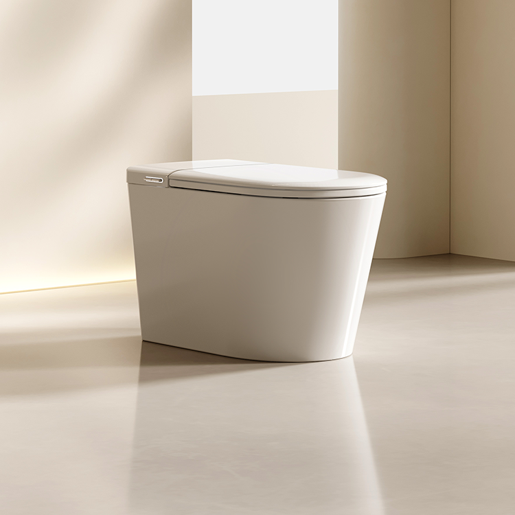DZOZO S021 Smart Toilet | OEM Manufacturer