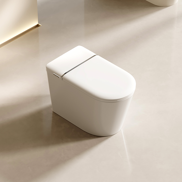 DZOZO S021 Smart Toilet | OEM Manufacturer