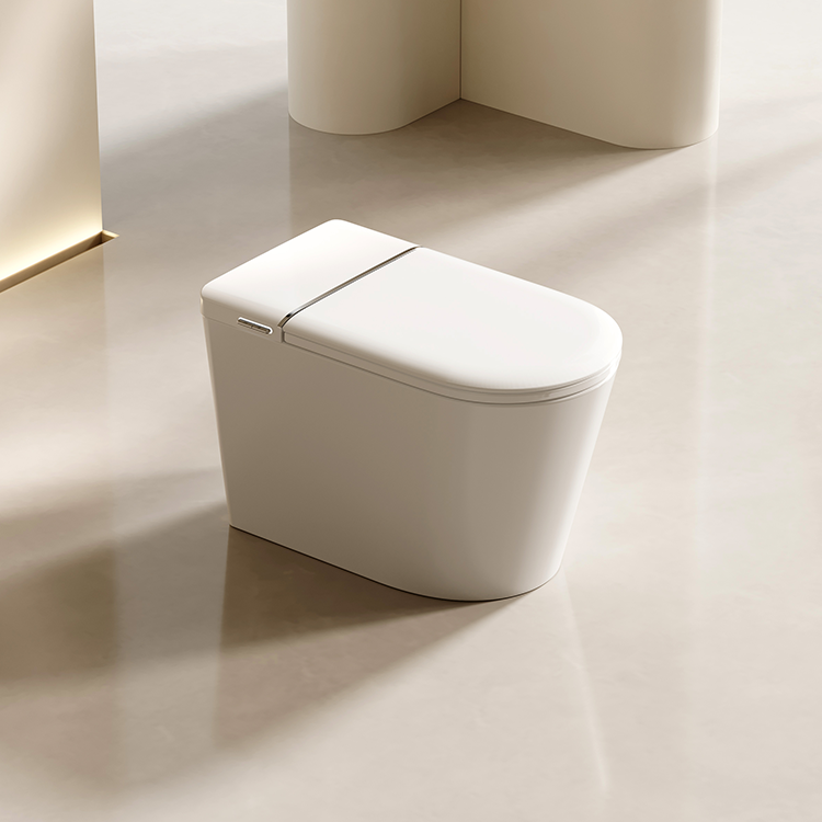 DZOZO S021 Smart Toilet | OEM Manufacturer