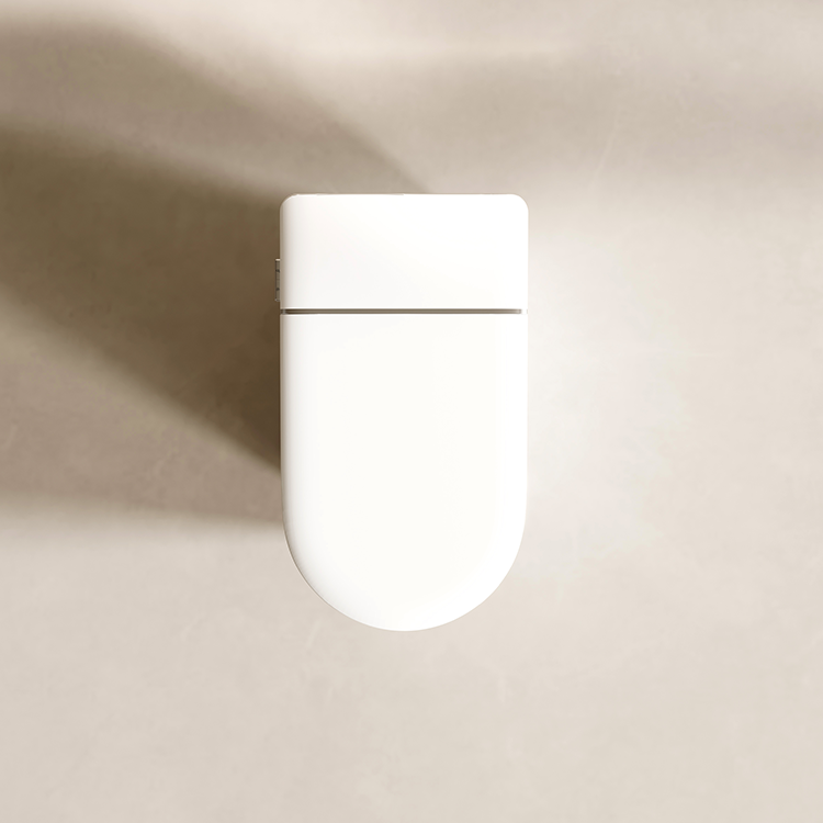 DZOZO S021 Smart Toilet | OEM Manufacturer