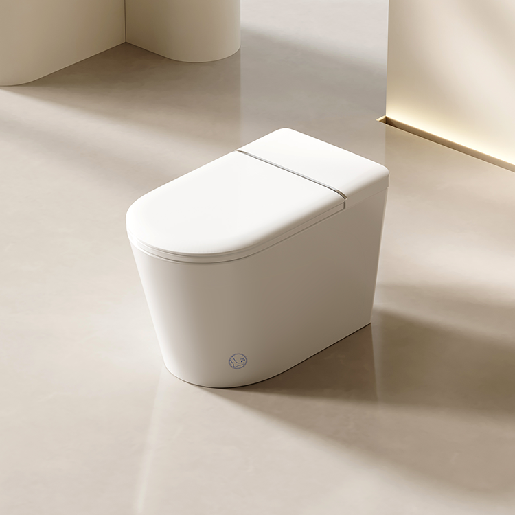 DZOZO S021 Smart Toilet | OEM Manufacturer