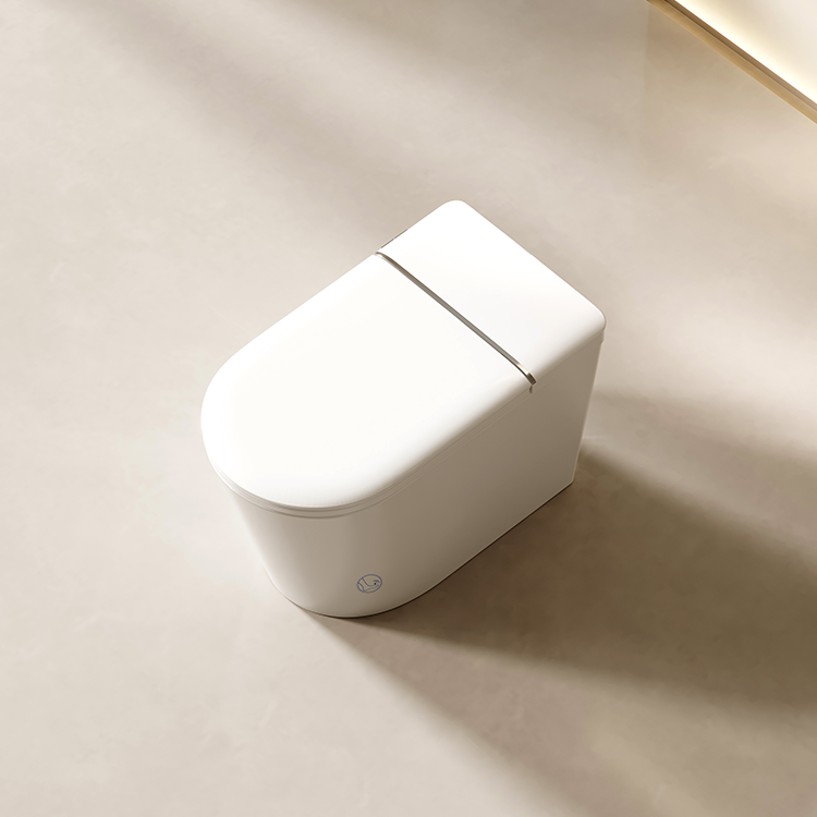 DZOZO S021 Smart Toilet | OEM Manufacturer