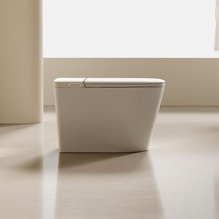DZOZO S021 Smart Toilet | OEM Manufacturer