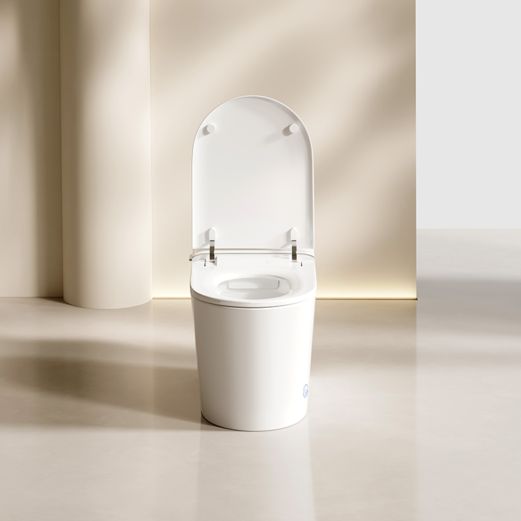 DZOZO S021 Smart Toilet | OEM Manufacturer