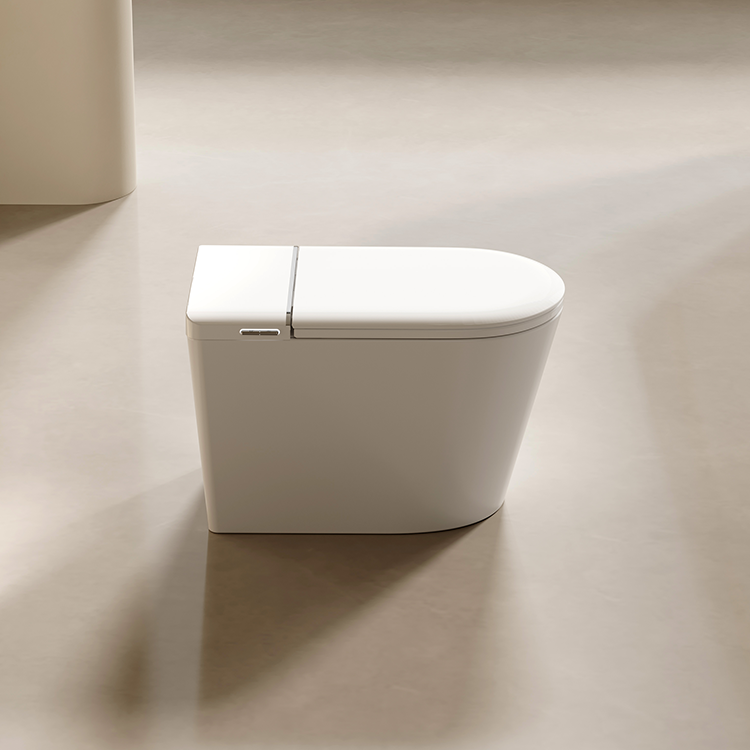 DZOZO S021 Smart Toilet | OEM Manufacturer
