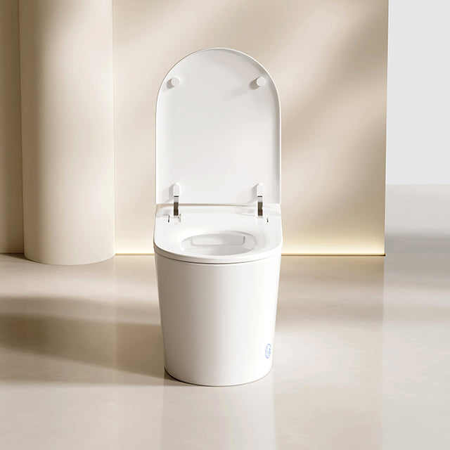 S008 Bathroom Electric Bidet Sanitary Light Smart Toilet