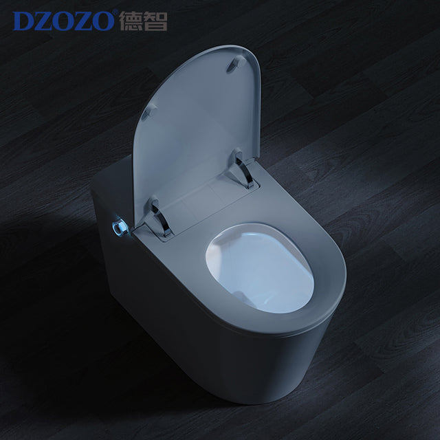 DZOZO S020 Smart Toilet | OEM Manufacturer