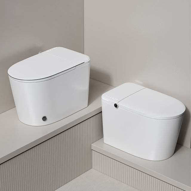 DZOZO S001 Smart Toilet | OEM Manufacturer