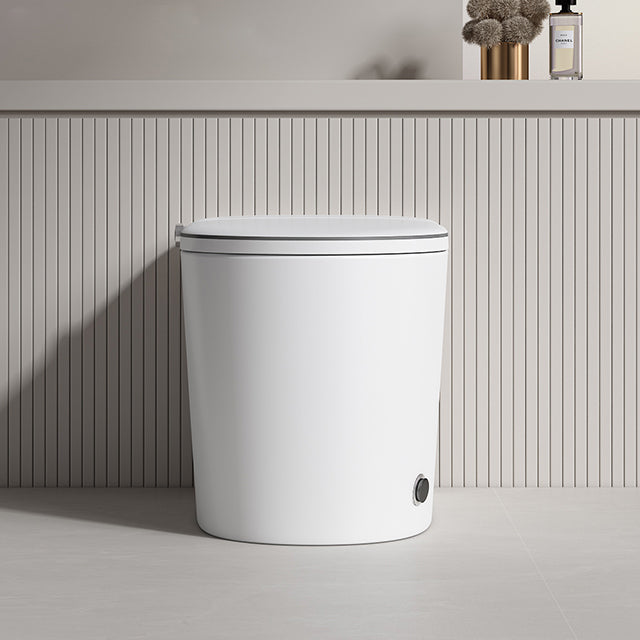 DZOZO S001 Smart Toilet | OEM Manufacturer