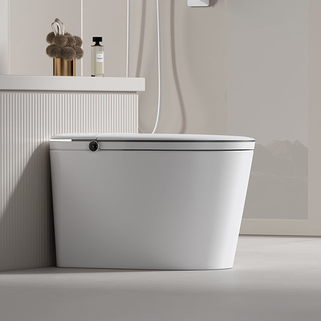 DZOZO S001 Smart Toilet | OEM Manufacturer