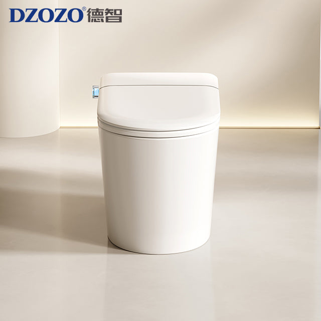 DZOZO S020 Smart Toilet | OEM Manufacturer