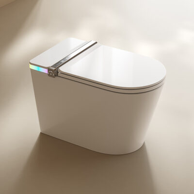 DZOZO S002 Best Intelligent Ceramic Voice Control Smart Toilet