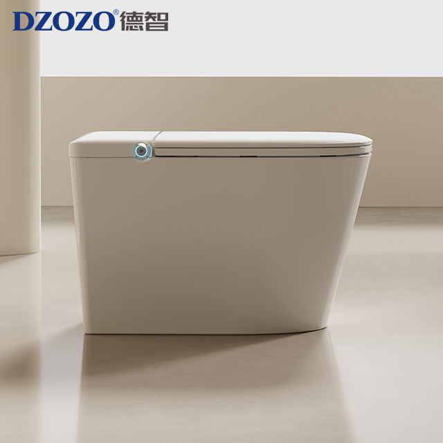DZOZO S020 Smart Toilet | OEM Manufacturer