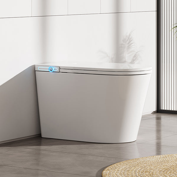 DZOZO S035 Smart Toilet | OEM Manufacturer