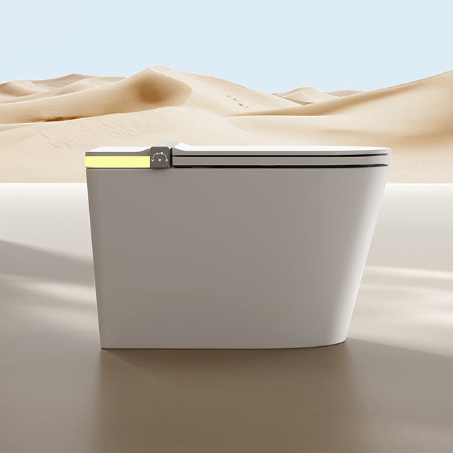 DZOZO S002 Smart Toilet | OEM Manufacturer