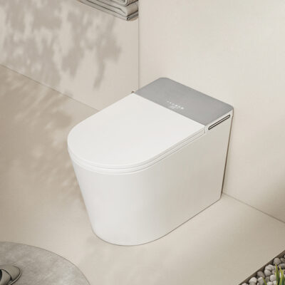 DZOZO S036 Fully Automatic Smart Toilet Remote Instant Hot Sterilization Floor Mounted Installation