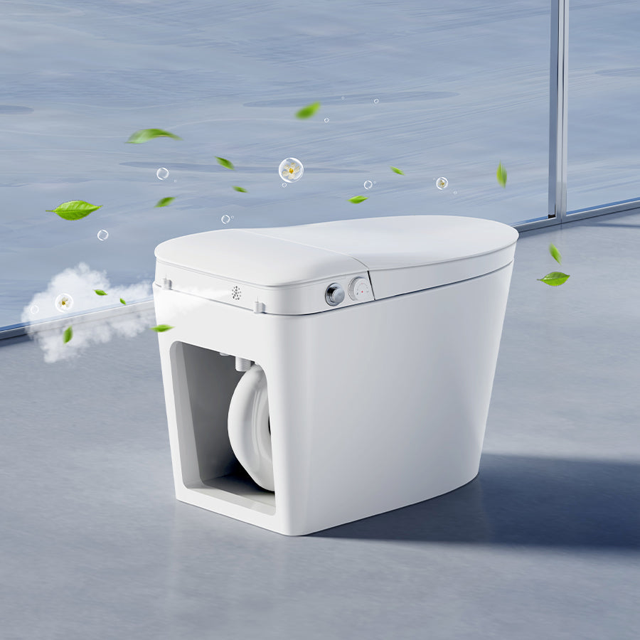 DZOZO H8 Non-Electric Smart Toilet with Dual Wash and Foot Flush | OEM/ODM