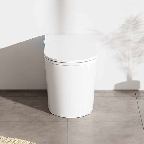 DZOZO S035 Smart Toilet | OEM Manufacturer