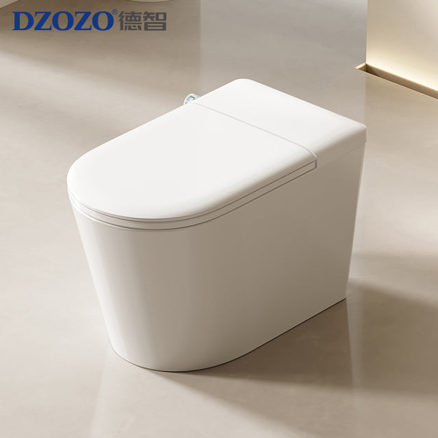 DZOZO S020 Smart Toilet | OEM Manufacturer