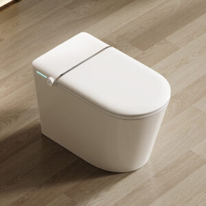 DZOZO S009 New Style Sensor Flush Light Smart Toilet with Seat Warmer