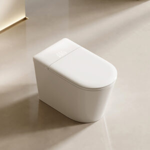DZOZO S022 Smart Toilet with Seat Heating & Remote Control Floor Mounted Elongated & Round Shape