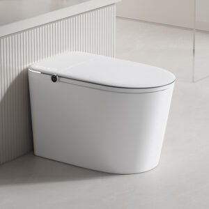 DZOZO S001 Automatic Open Sensor Flush Intelligent Japanese Smart Bidet Toilets With Remote Control