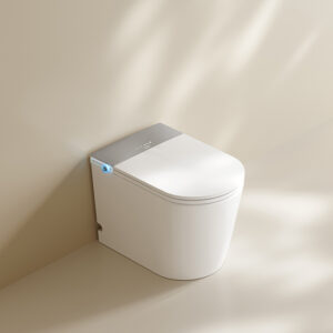 DZOZO S024 Automatic Self-clean Heated Seat Smart Toilet