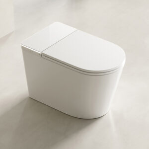 DZOZO S016 New Design Ceramic Intelligent Sanitary Ware Smart Toilet