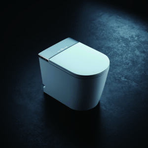 DZOZO S013 Customized Male Urine Detect Flushing Female Cleaning Smart Toilet