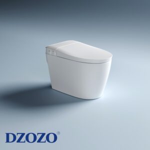 DZOZO Non-electric Smart Toilet Foot Senser Functional Wash Cheap Bidet